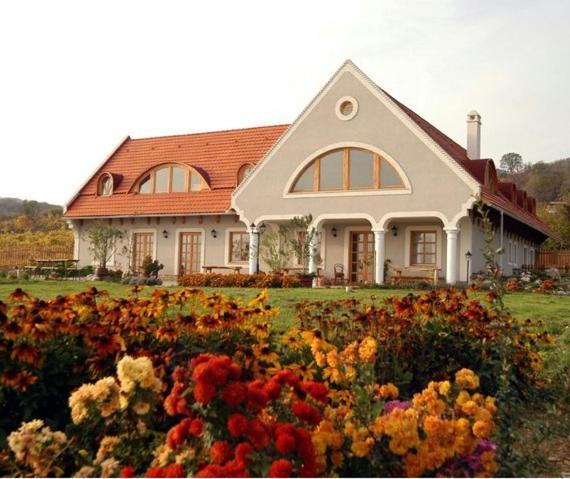 Koczor Winery & Guesthouse Balatonfüred Exteriér fotografie