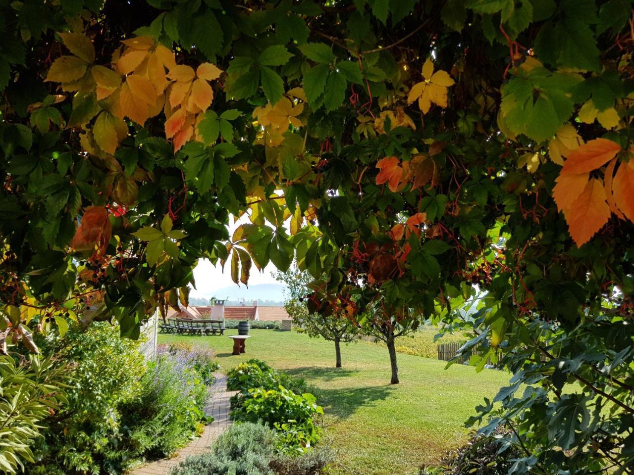 Koczor Winery & Guesthouse Balatonfüred Exteriér fotografie